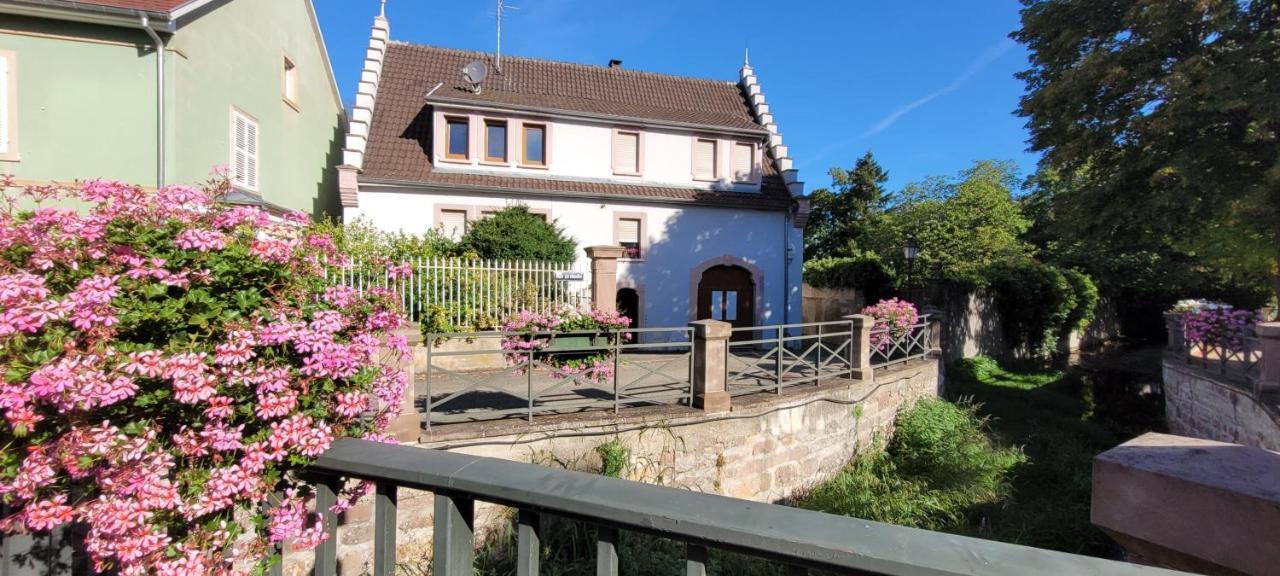 Apartamento Le Cocon Du Rimbach Soultz-Haut-Rhin Exterior foto
