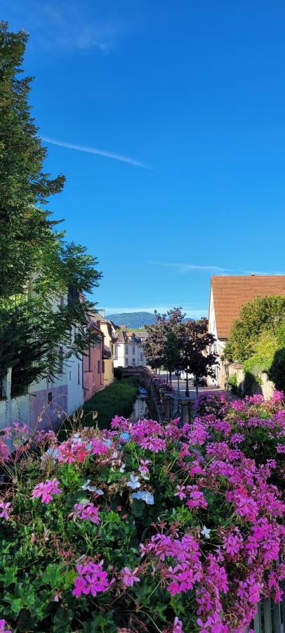 Apartamento Le Cocon Du Rimbach Soultz-Haut-Rhin Exterior foto